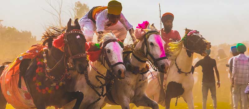 Hola Mohalla Grounds