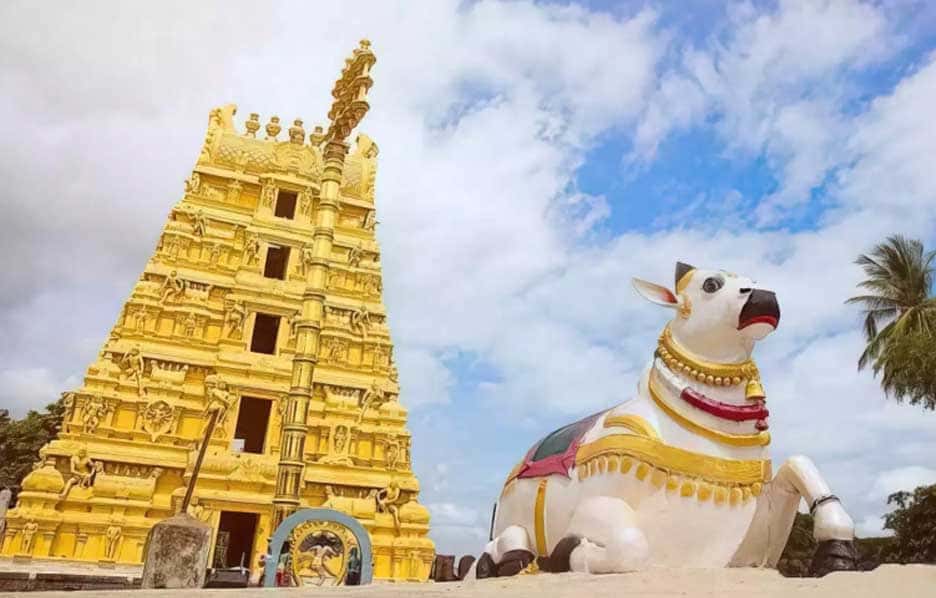 Mallikarjuna Mallikarjuna