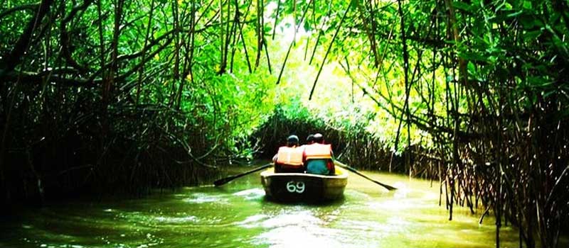 Pichavaram Mangrove Forest Chidambaram