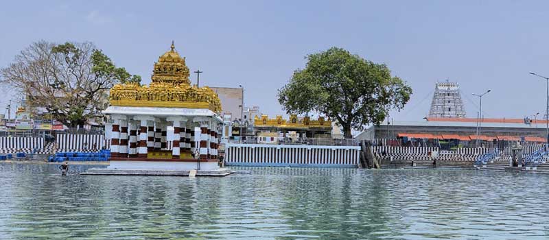 Sri Padmavathi Ammavari Temple