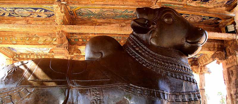 tanjore big nandi
