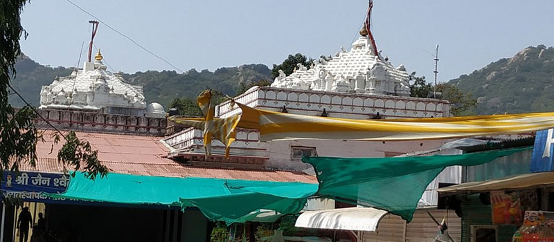 Vimal Vasahi Temple